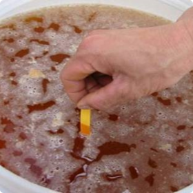 生物菌劑