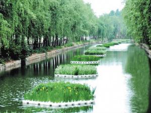 1618454377719052.jpg 生態浮島技術.jpg